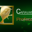 CARAVAN MODE 150,000 points achievement