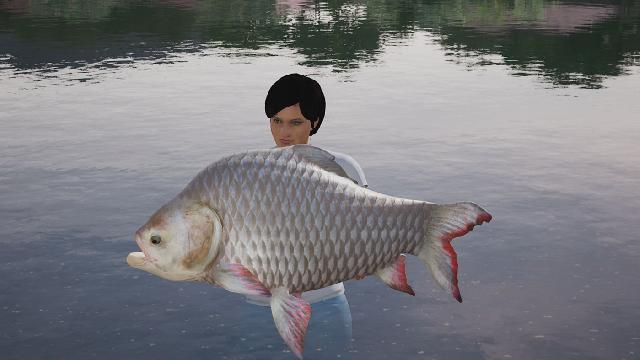 Fishing Sim World: Giant Carp Pack screenshot 26735