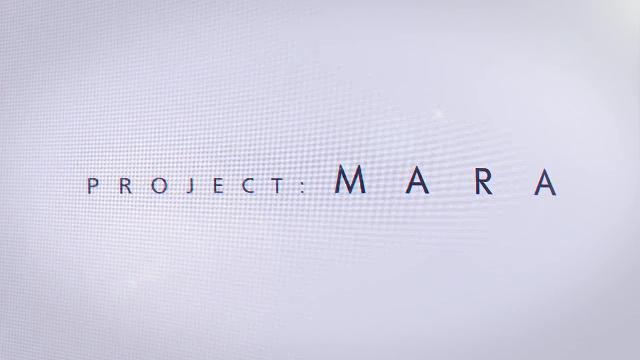 Project: MARA screenshot 24625