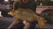 Fishing Sim World screenshot 16957