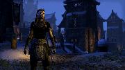 The Elder Scrolls Online screenshot 363