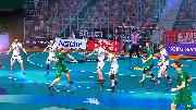 Handball 16 Screenshot